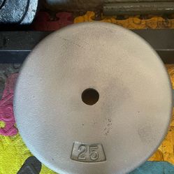 Weight Plates.      10 Dollars 