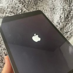 iPad Mini 2 32GB WiFi And Cellular Data 