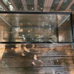 30 Gallon Fish Tank