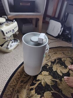 Air Cleaner