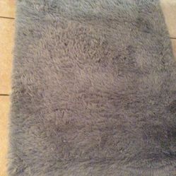 RUG Good Condition - $ 20.00
