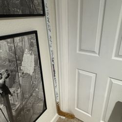 Avalanche, hockey stick signed by team