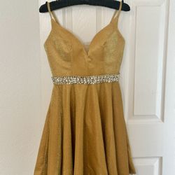 💛Gold Dresses NEW (4 Left!)