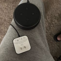 Echo Dot Alexa 