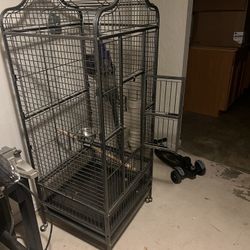 Bird Cage 