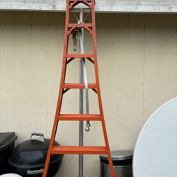 10’ Foot Ladder 