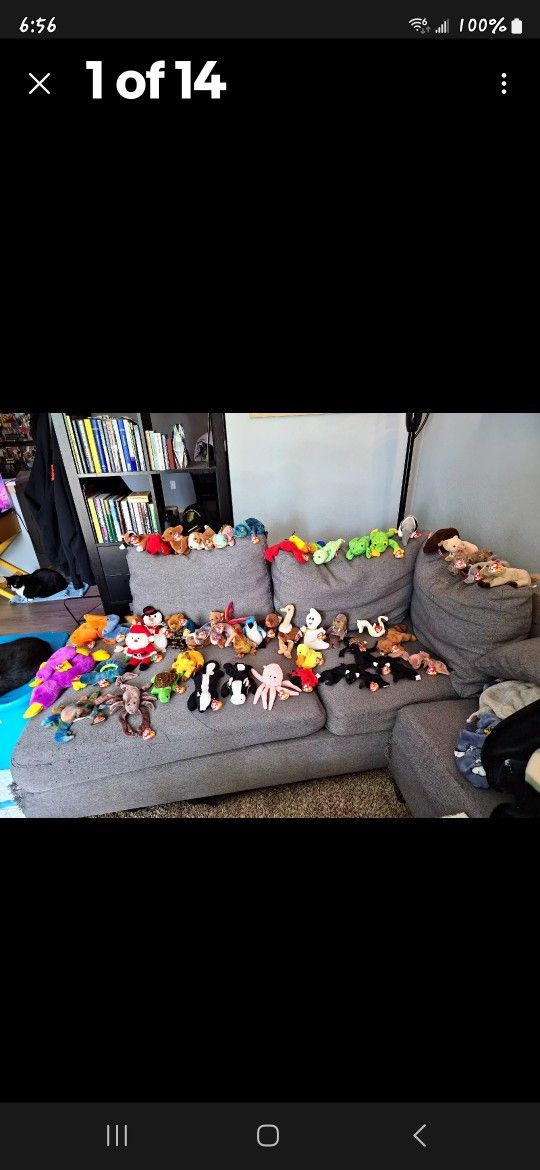 Beanie Babies