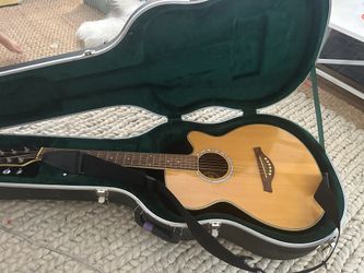 Guitar - starter with case