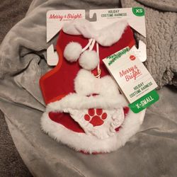Holiday Mrs Clause Pet Appeal Xs