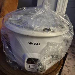 Aroma rice cooker