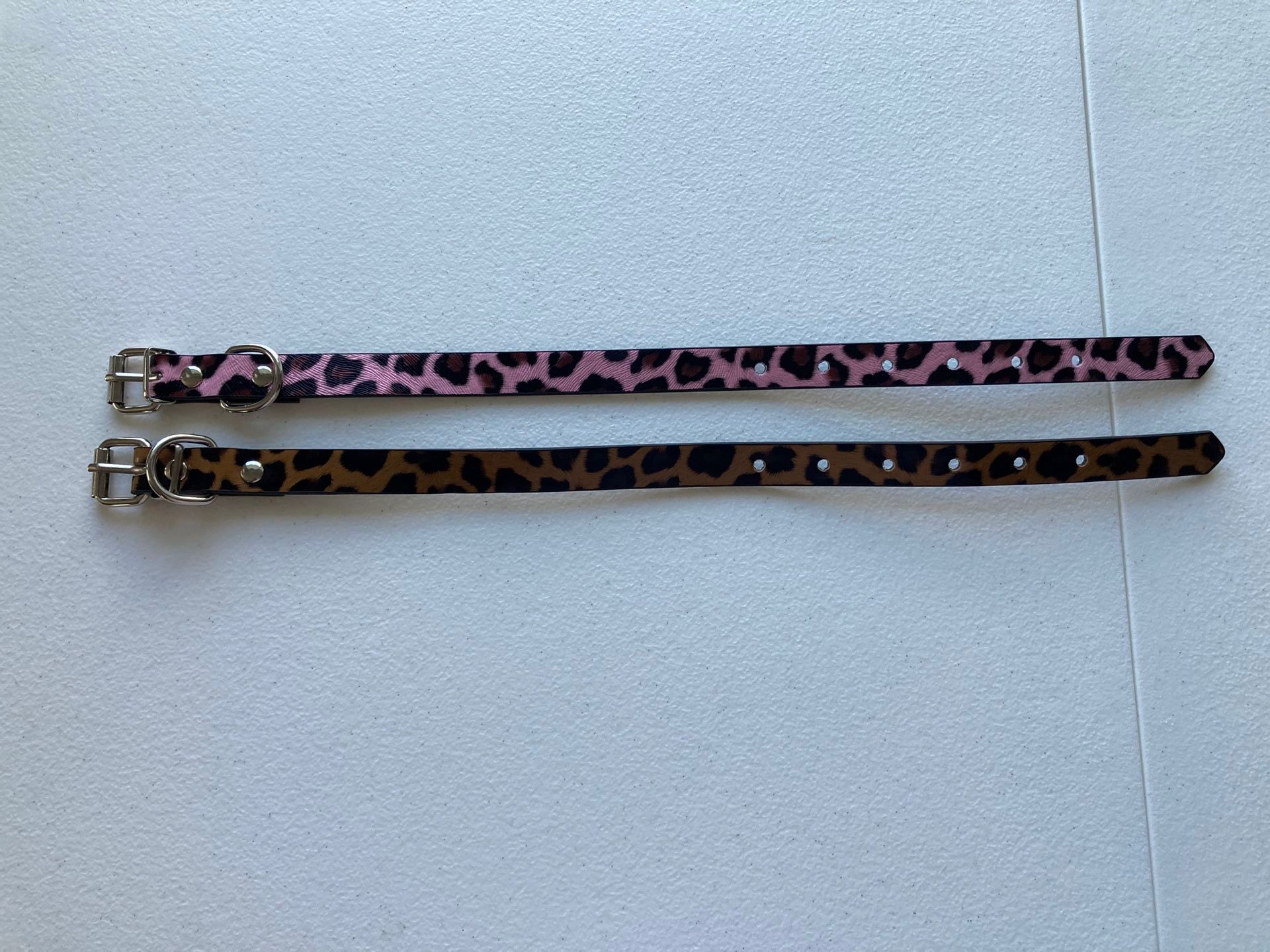 Dog Collar