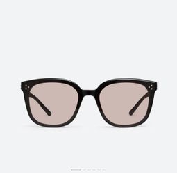 Gentle Monster ATA Series S Sunglasses – Black Frame, Brown Gradient Lens, with Case