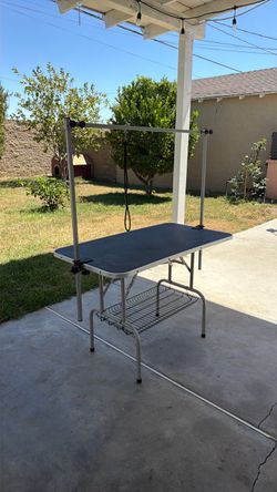 Grooming table