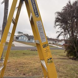 10 Ft Fiberglass Ladder