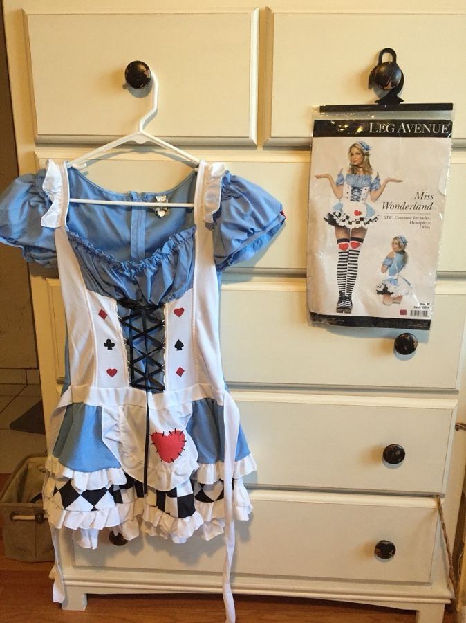 Adult Alice in Wonderland Miss Wonderland Costume