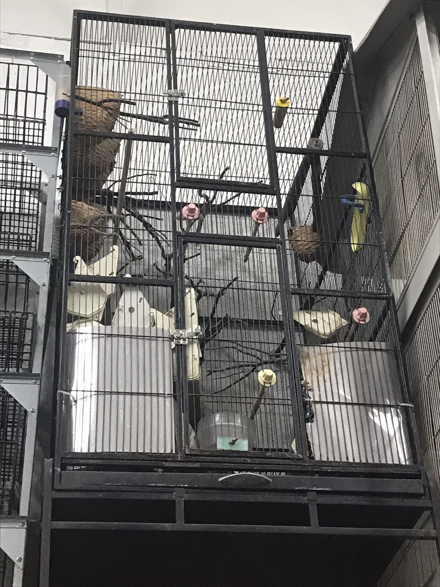 Parrot /Large Bird Cage