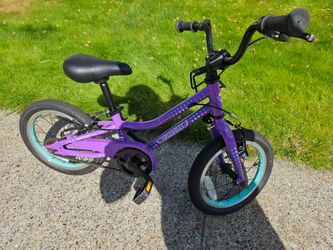14" Guardian bike