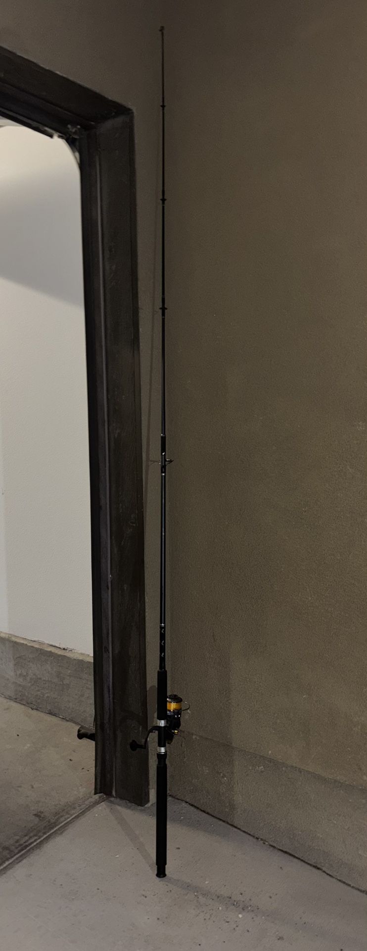 Roddy Limited Edition Fishing Rod