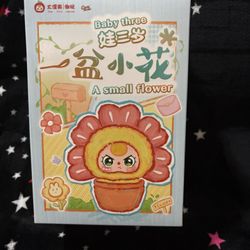 Baby Three A Small Flower