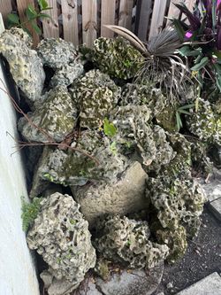 Coral Rock, various sizes