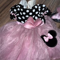 Minnie Mouse Costume 