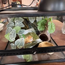 Small Repulse Tank Package