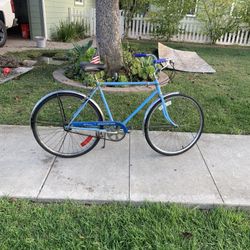 1977 Schwinn Speedster 