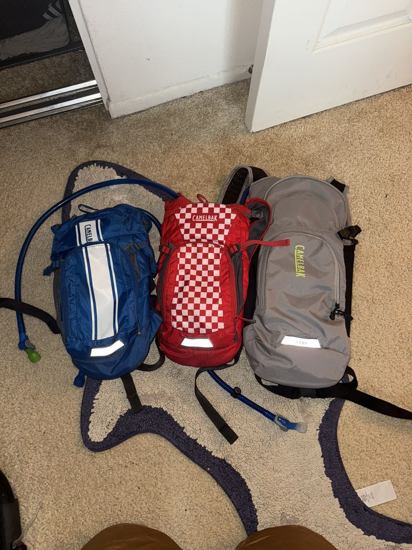 Camelback Lobo + 2 Small Packs