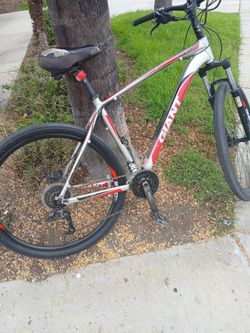 Giant 29 talon