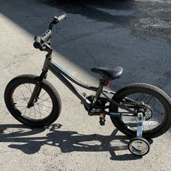 Giant bike online training wheels
