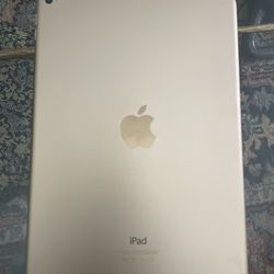 iPad Air 2 64gb Rose Gold WiFi