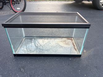 Free 12 gallon glass aquarium teranium