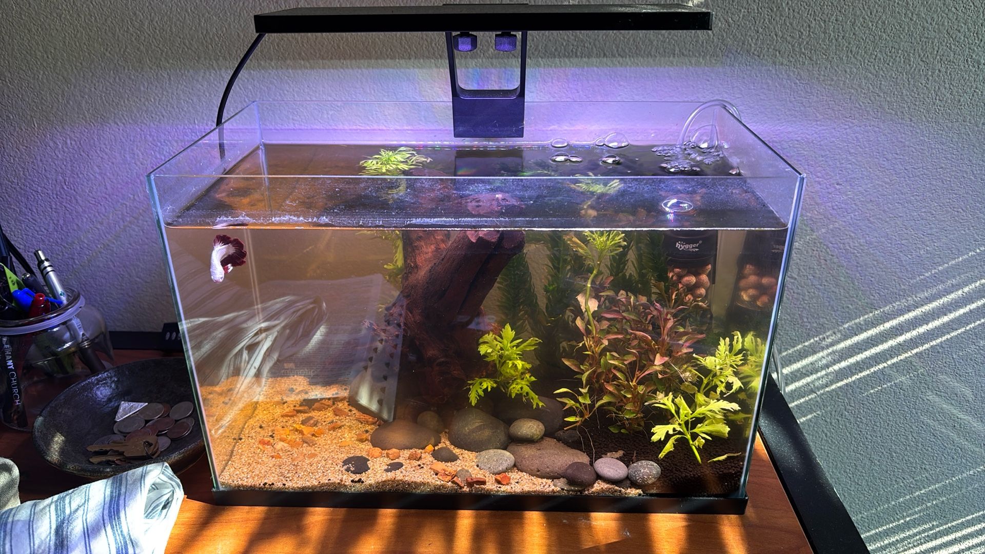 Aquarium