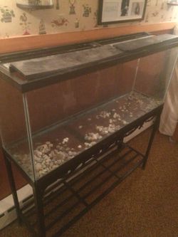 Fish tank and stand 100 or best