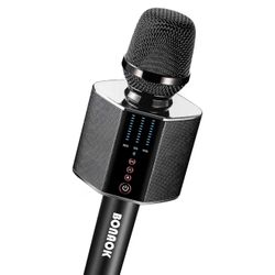 Professional Microphone 