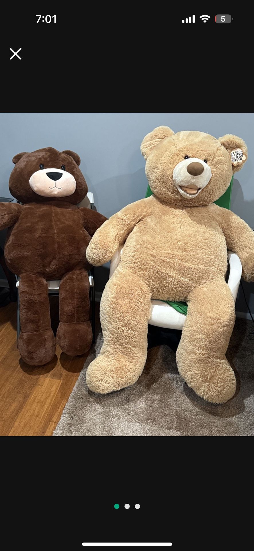 Large Teddy Bears 