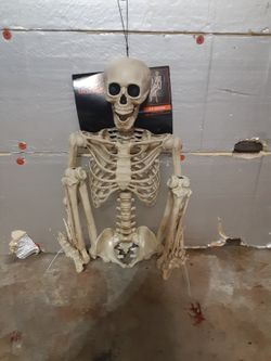 5ft Skeleton 