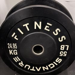Bumper Plates (55lb x2)
