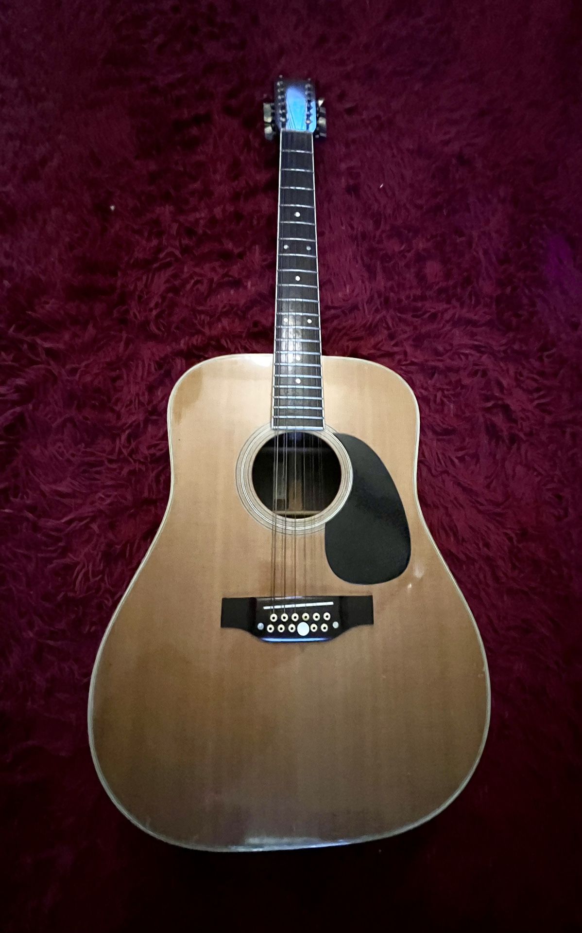 Takamine & Co 12 String Guitar 1962 F400s
