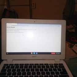 Acer CB3-111 Chromebook Computer