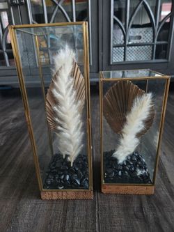 Wild sage glass cloche with real palm