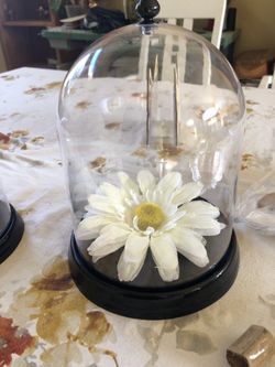 Plastic with a flower decor