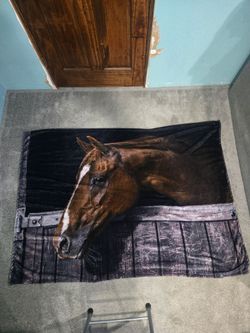 Horse Blanket