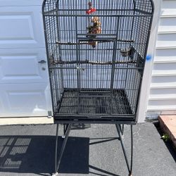 Wrought iron bird cage
