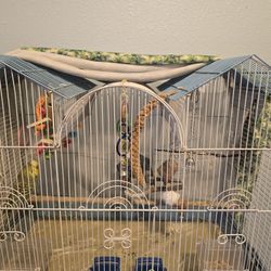 Cage For Birds