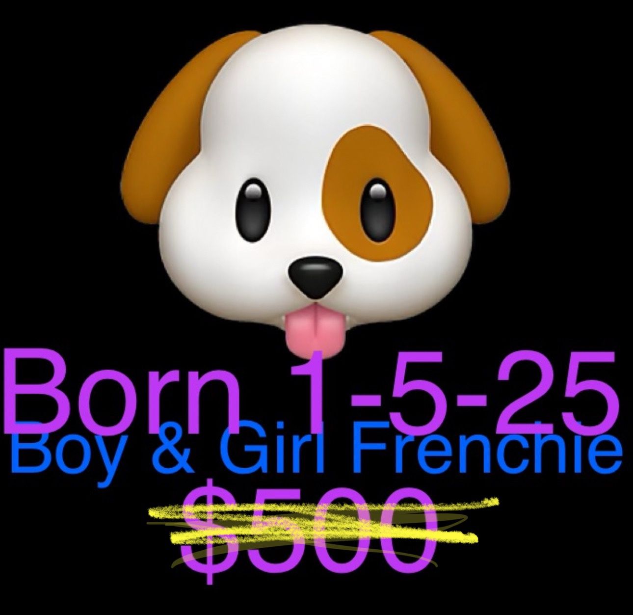 $300 Message Me