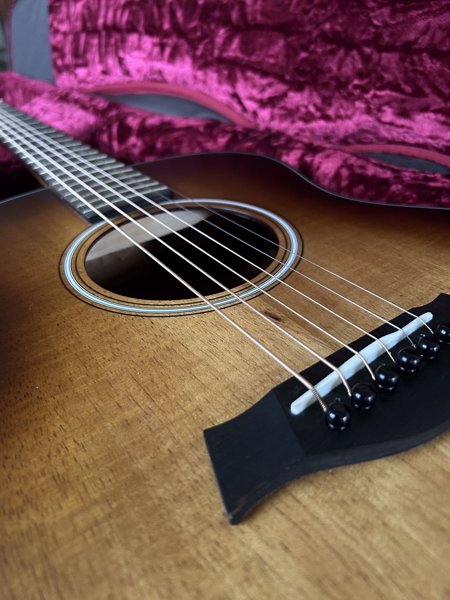 Taylor GSMini Plus