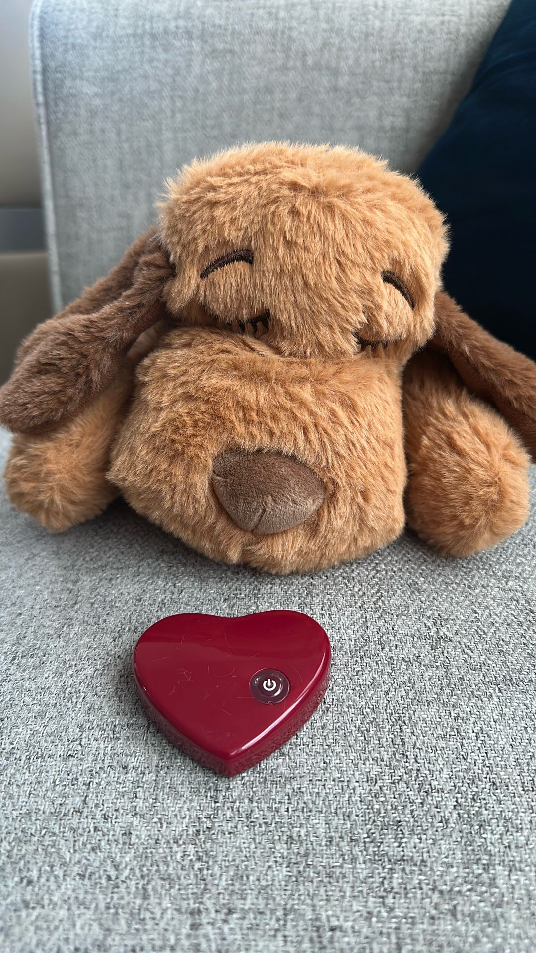 Snuggle Puppy Heartbeat Toy