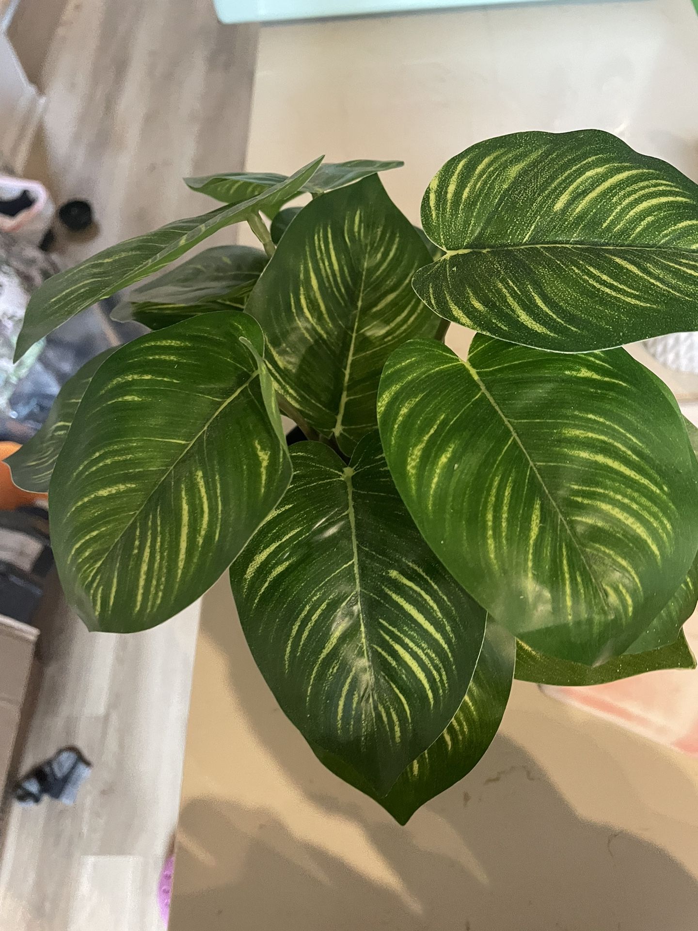 Fake Plant