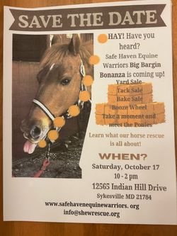 Yard sale and Tack sale